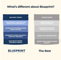 Blueprint Longevity Mix bottle on kitchen counter, convenient after workouts.