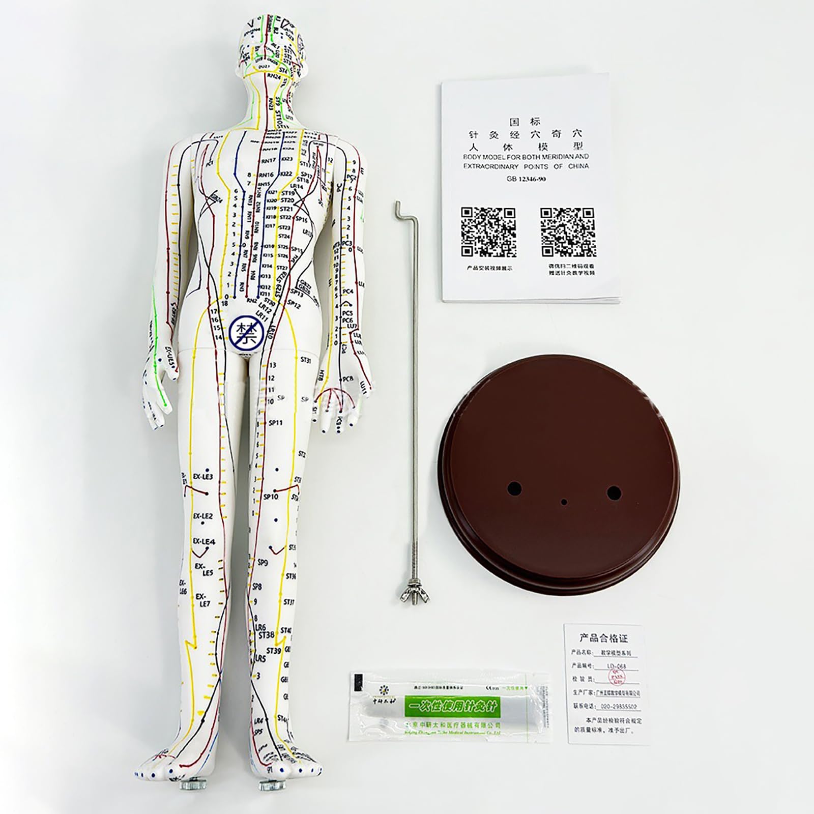 Ideal for student practice and acupuncture training