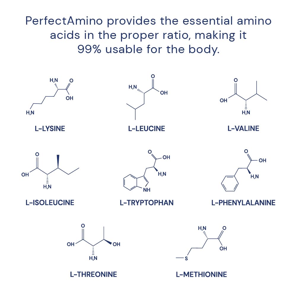 Diagram showing BCAAs and amino acids in PerfectAmino