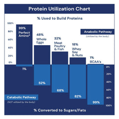 Ingredients and nucleic acid blocks in PerfectAmino