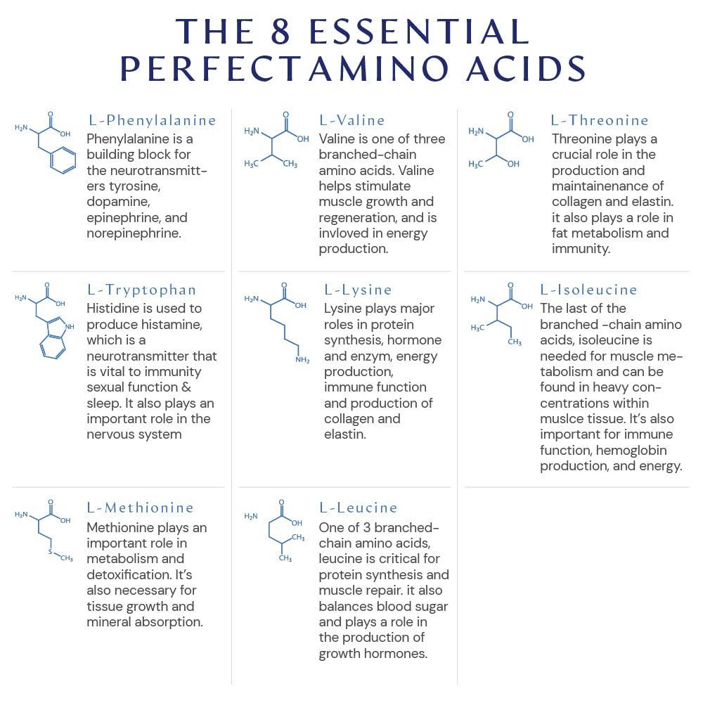 Plant-based essential amino acids for muscle maintenance