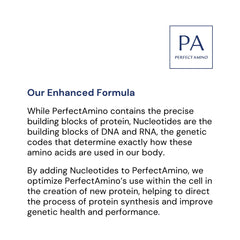BodyHealth PerfectAmino box highlights BCAAs and amino acids for workout support.