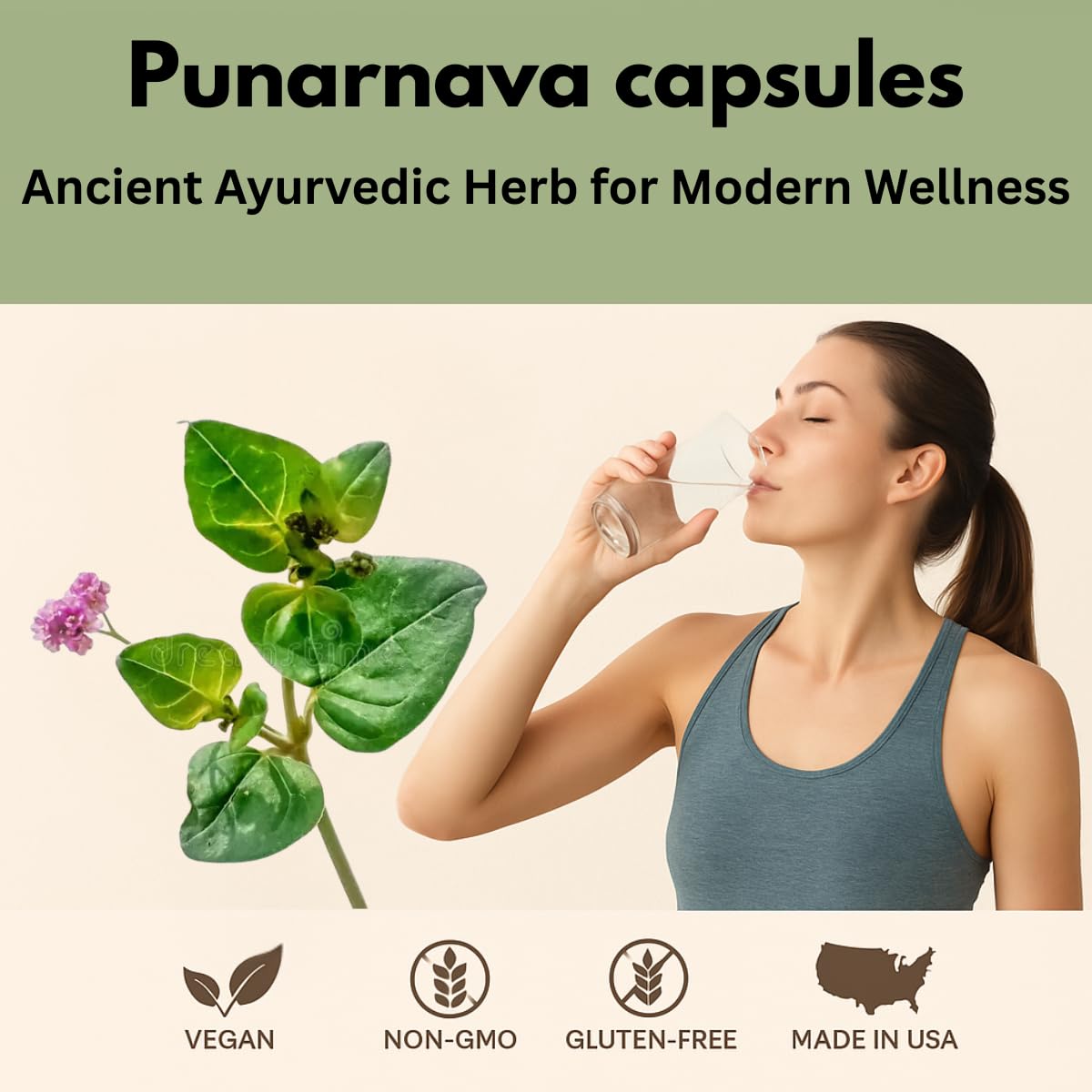 Boerhaavia diffusa root extract illustration
