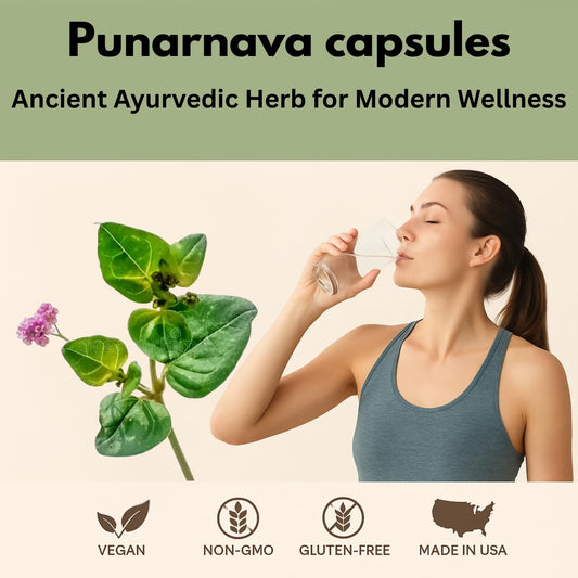 Boerhaavia diffusa root extract illustration