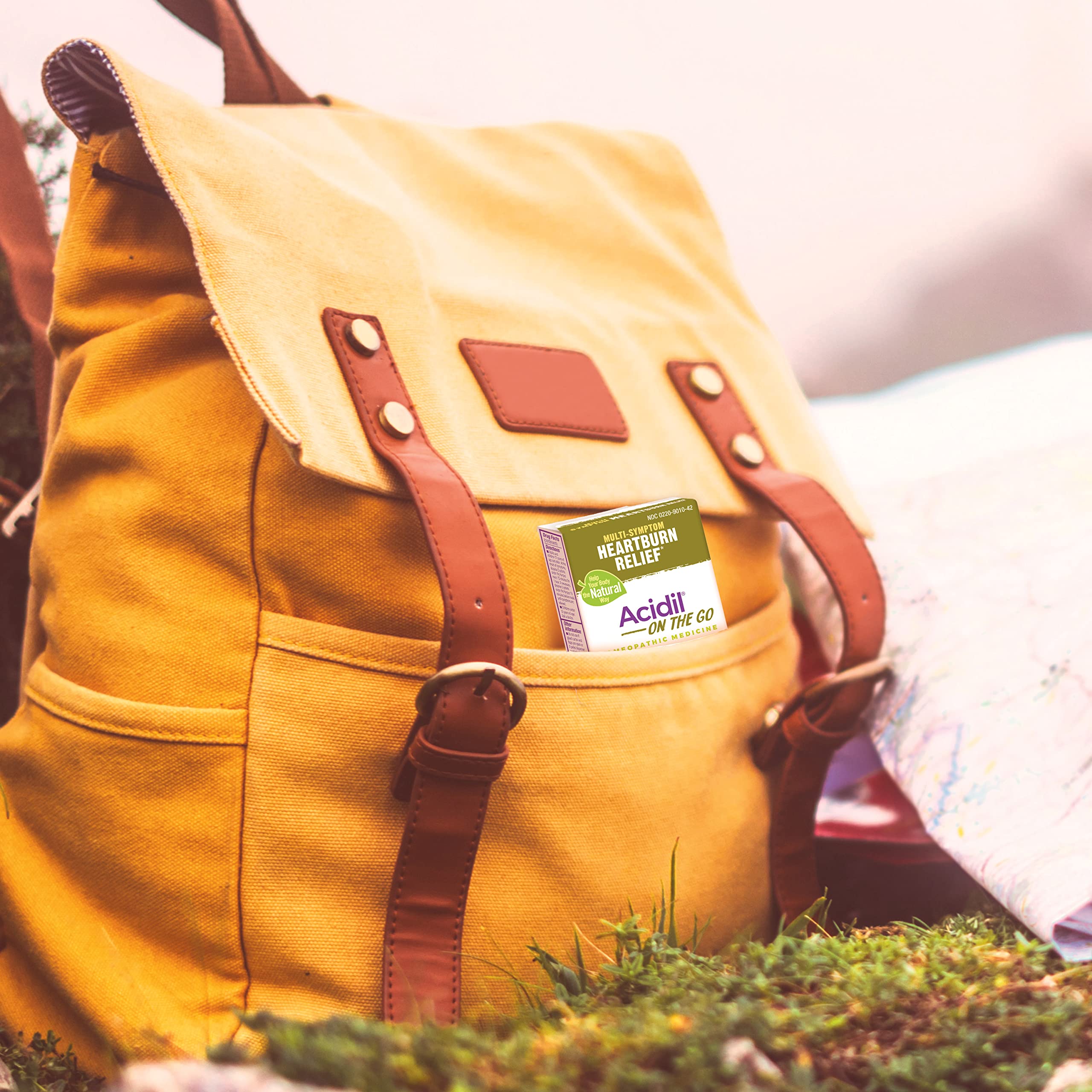 Boiron Acidil On the Go pellets closeup highlights meltaway texture.