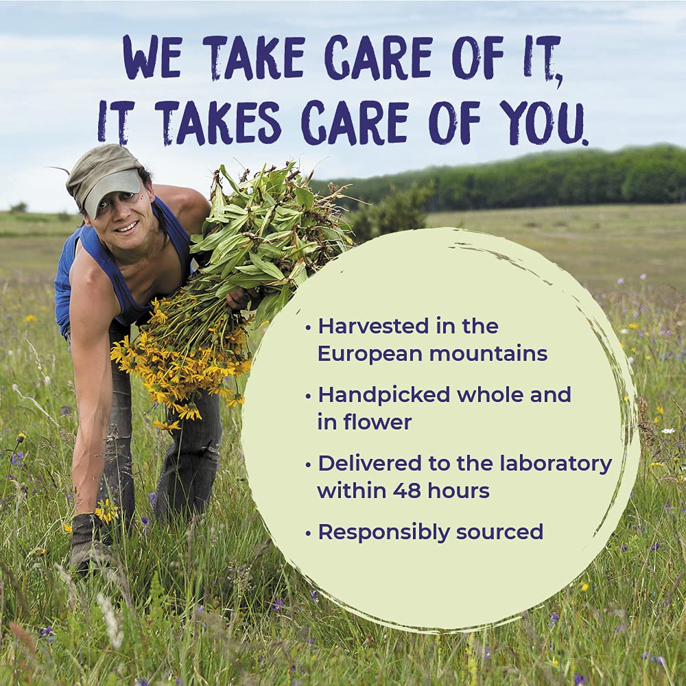 Active ingredients Arnica montana 30C HPUS