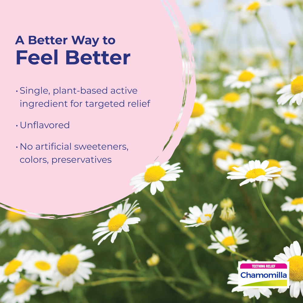 Chamomilla Bonus Pack: three tubes, 48 doses for value.