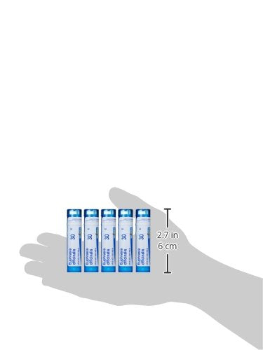 France-made Euphrasia Officinalis 30C packaging label
