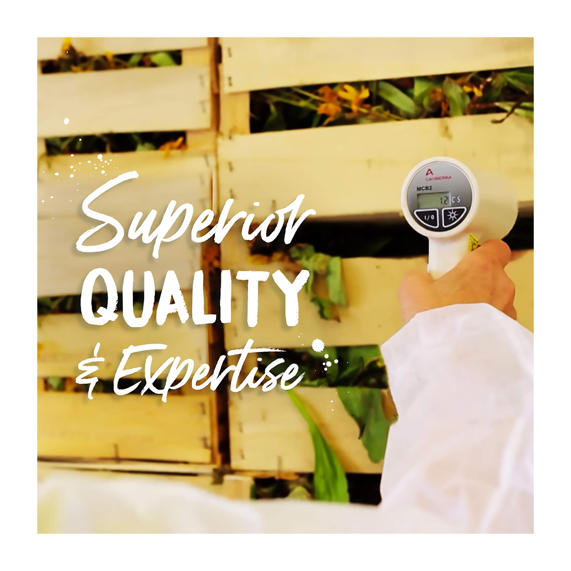 Product label of Boiron Hepar Sulphuris Calcareum 200CK