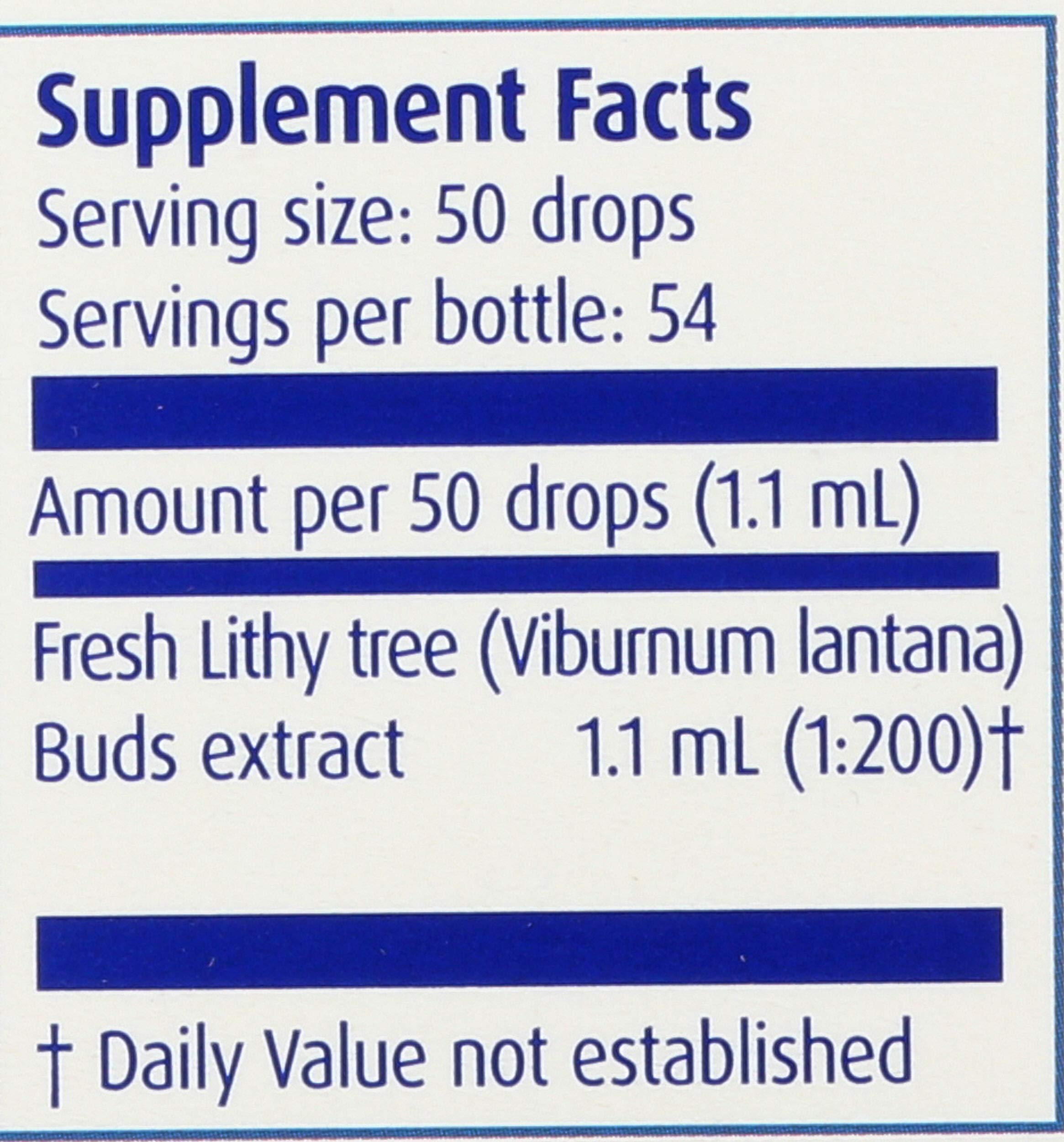 Product shot of Boiron Lithy Tree packaging