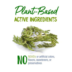 3 dispensing tubes for Lycopodium Bonus Care Pack