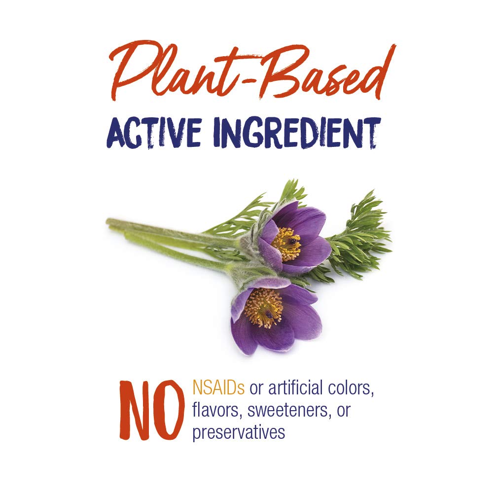 Boiron Pulsatilla 30C tubes with pack opened