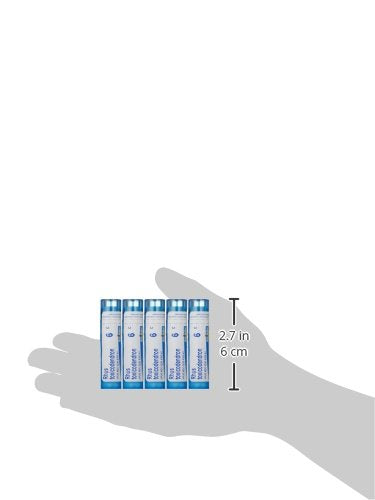 Boiron Rhus Toxicodendron 6C product shot with branding on white background