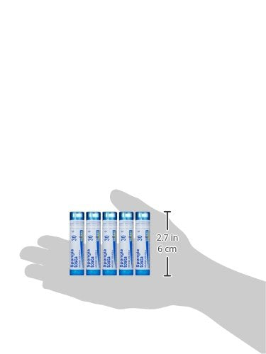 Boxed Boiron Spongia Tosta 30C packs displayed on white background