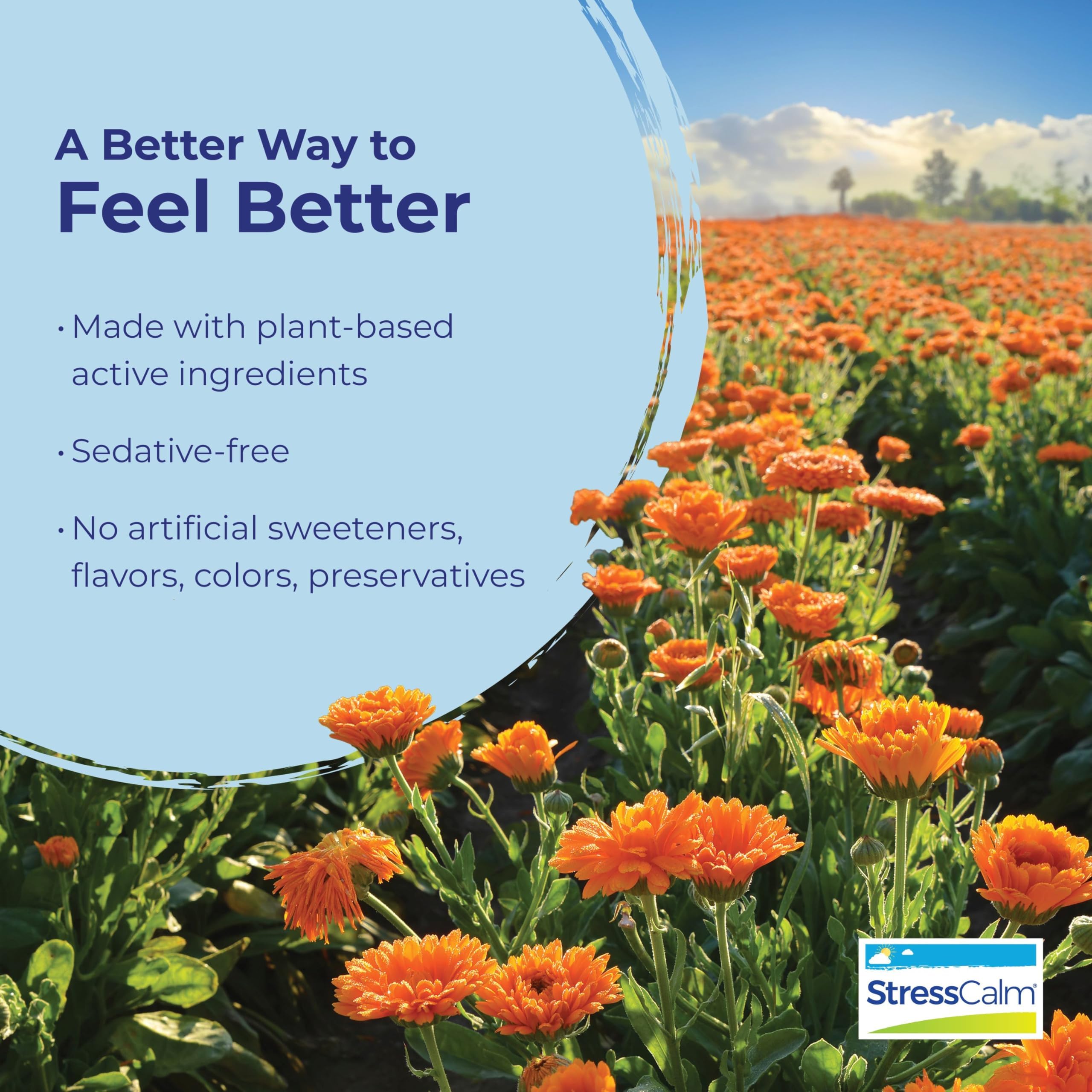 Boiron StressCalm packaging and blister packs on white background