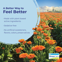 Close-up of StressCalm tablets