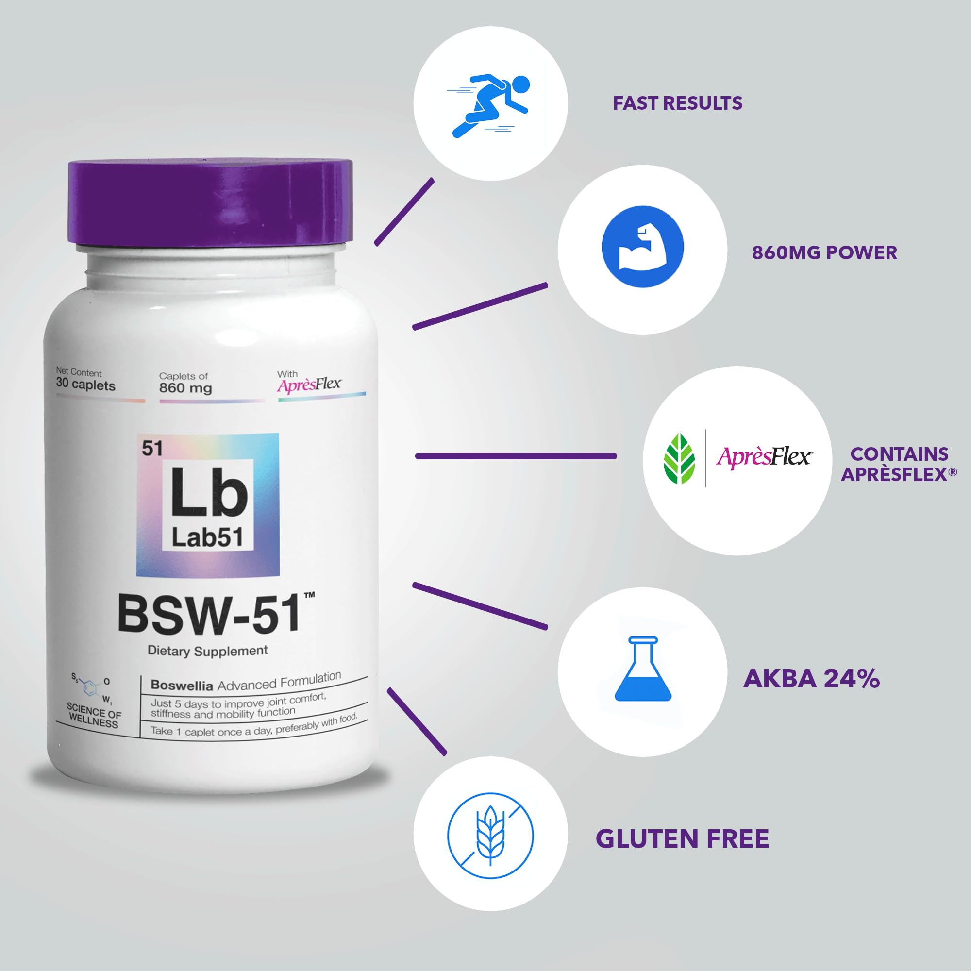 BSW-51 ApresFlex Boswellia extract icon image