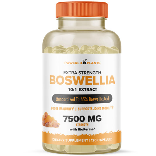 Bottle of Boswellia Serrata joint support capsules with 120 vegan capsules