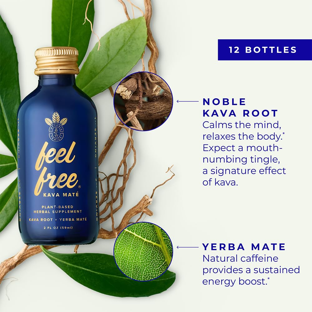 12-pack case packaging for Botanic Tonics Kava Mate herbal energy tonic