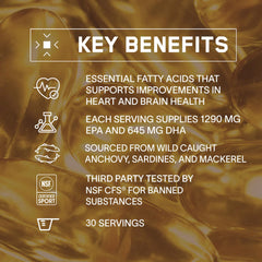 Wild-caught anchovies image used for BPN Omega Fish Oil