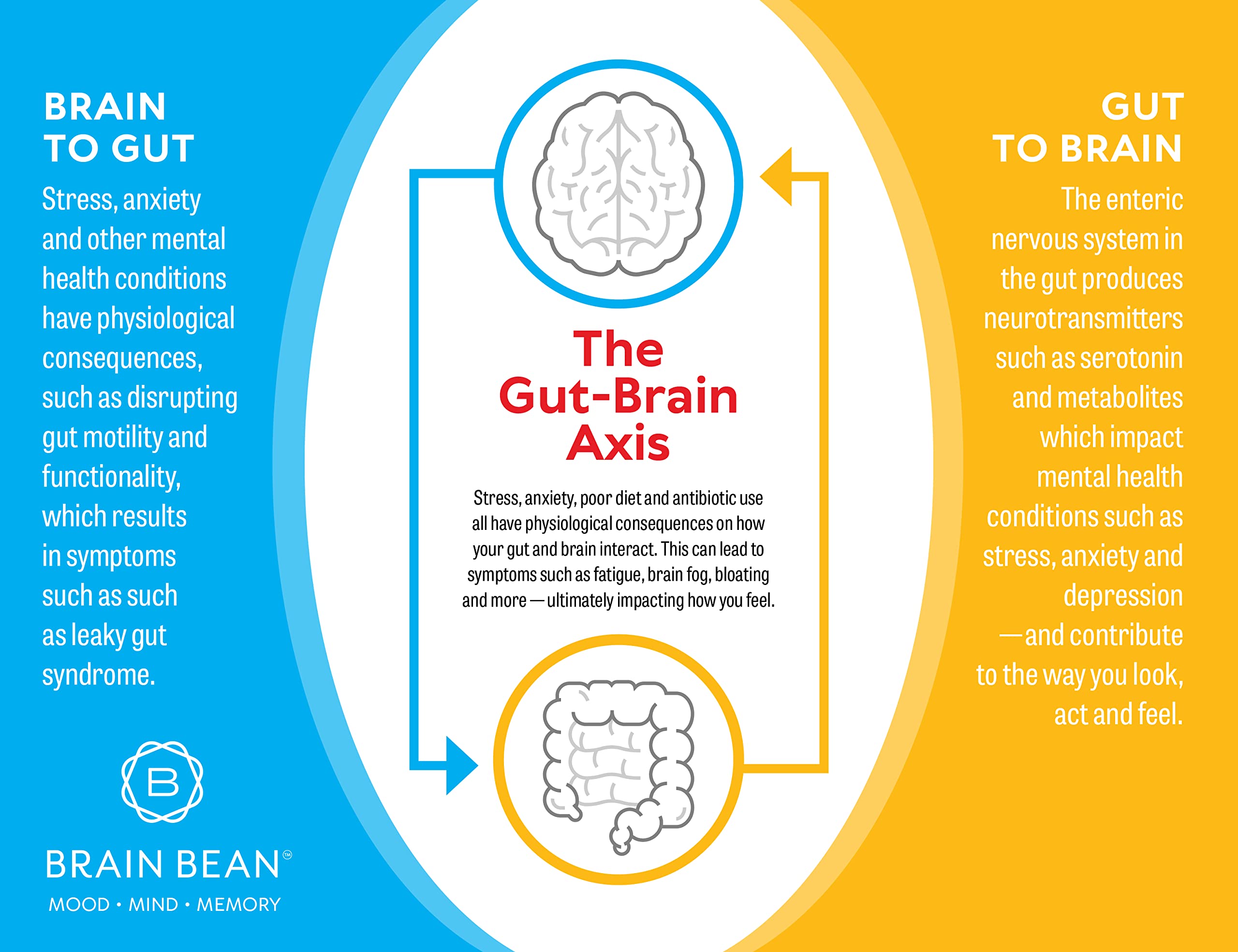 Brain Basics IgG powder being mixed into water