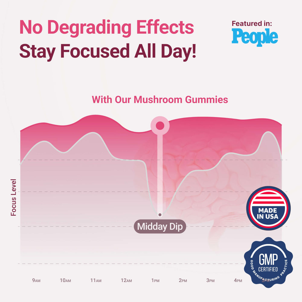 Brain-boost focus graph highlighting Lion's Mane and Cordyceps