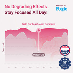 Brain-boost focus graph highlighting Lion's Mane and Cordyceps