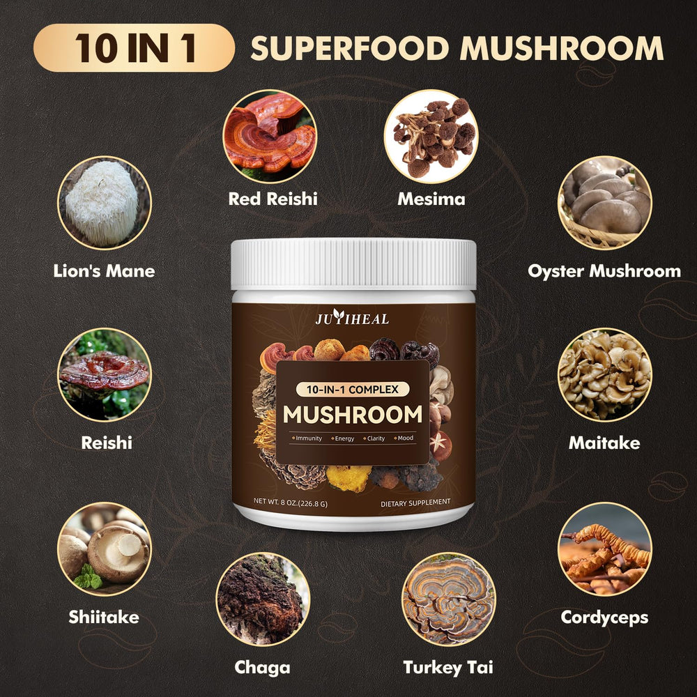 Mushroom powder promoting brain focus and immune support