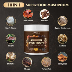 Mushroom powder promoting brain focus and immune support