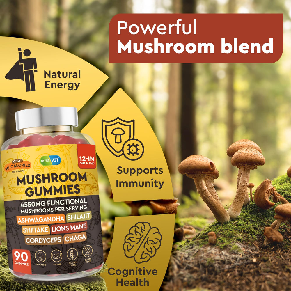 Brain focus and memory support from mushroom blend