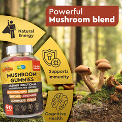 Brain focus and memory support from mushroom blend