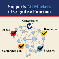 Gummies arranged to emphasize memory and cognitive focus