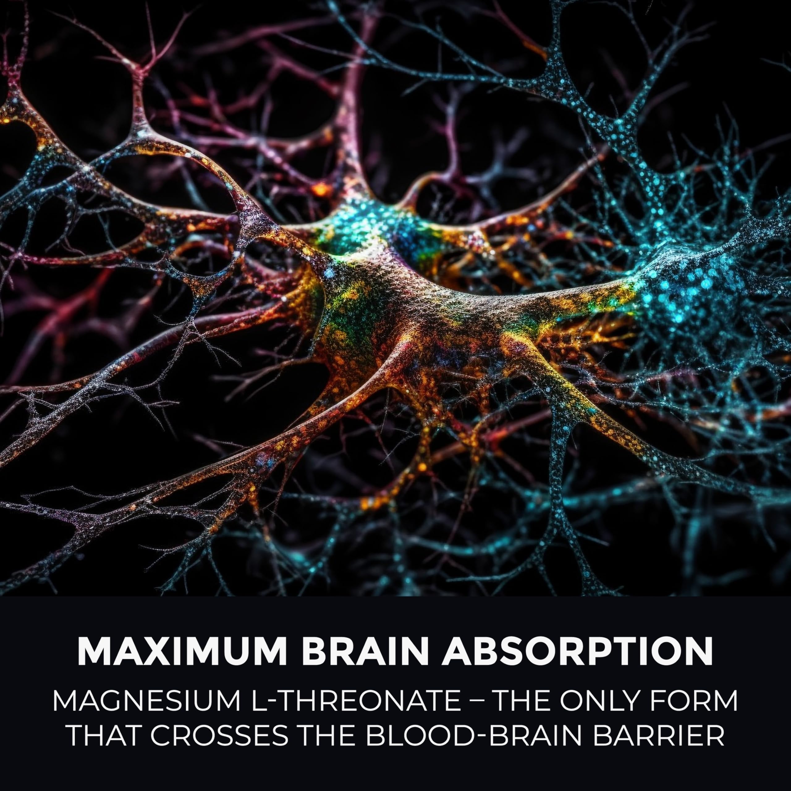 Illustration of brain health and cognitive support