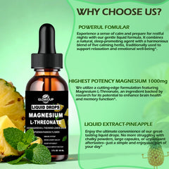 Brain health and memory icons illustrating cognitive support