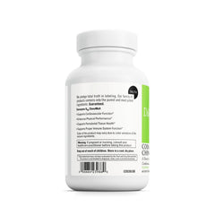 CoQ10 and vitamin E supporting brain health and memory