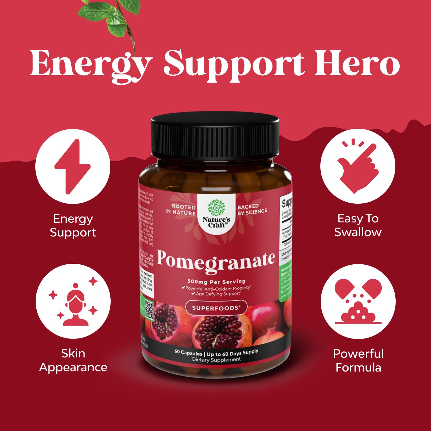 Brain health and memory support capsules concept