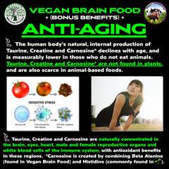 Brain health concept with neurons and memory imagery