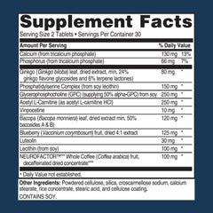 Illustration of brain health and memory support ingredients