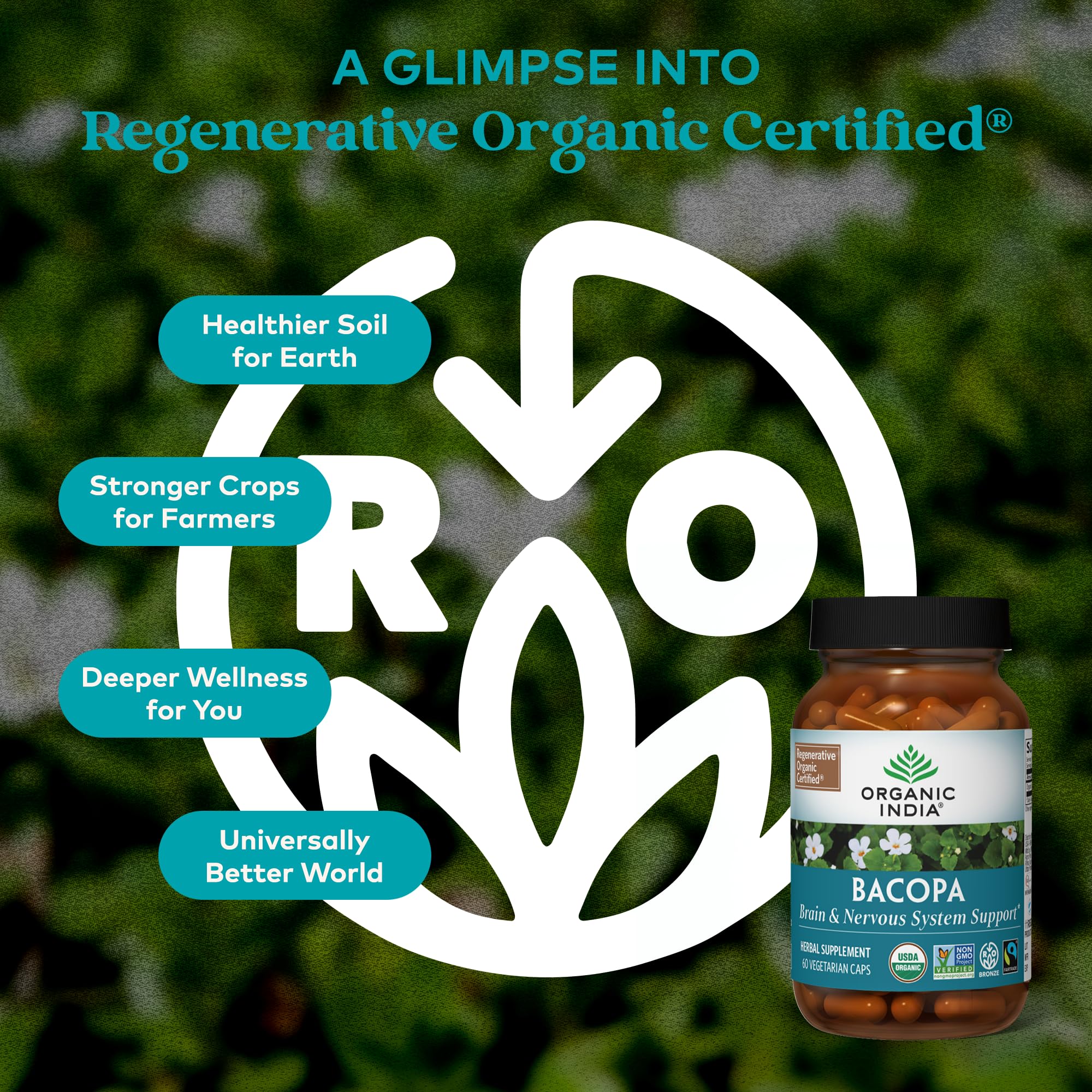 Brain memory focus support capsule from Bacopa supplement