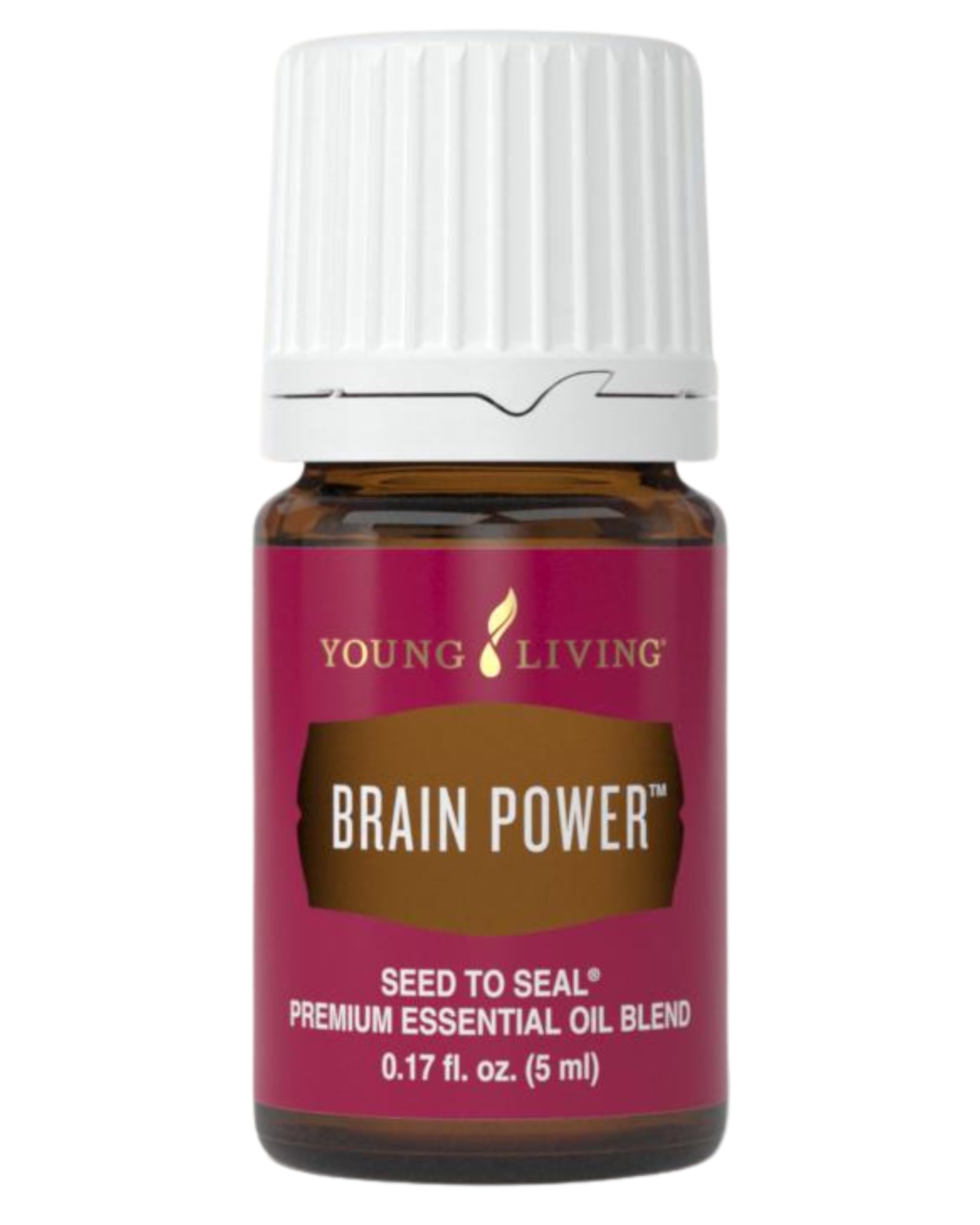 Brain Power 5ml essential oil bottle