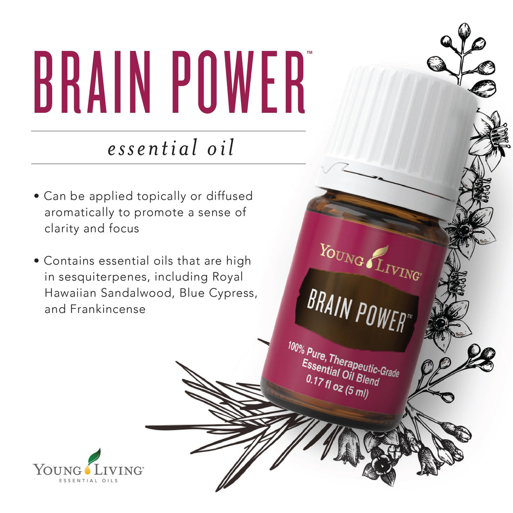 Diffuser with Brain Power essential oil blend