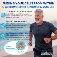 Graphic highlighting brain, skin and energy benefits