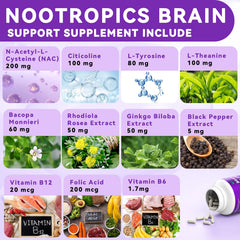 L-Theanine and Bacopa Monnieri cognitive support
