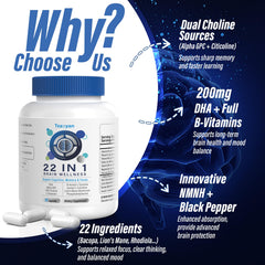 Supplements with DHA, B12, D3, B6, and Folate highlights for brain health