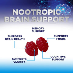 Brain health ingredients B6 B12 illustration