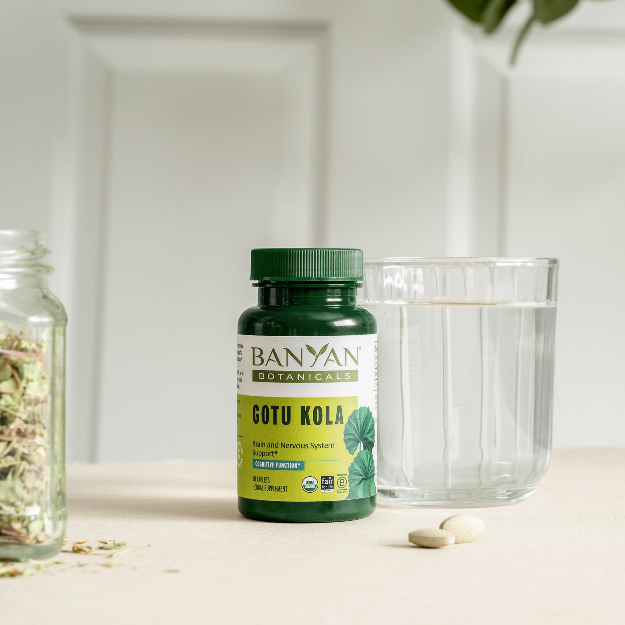 Brain support illustration for Gotu Kola supplement