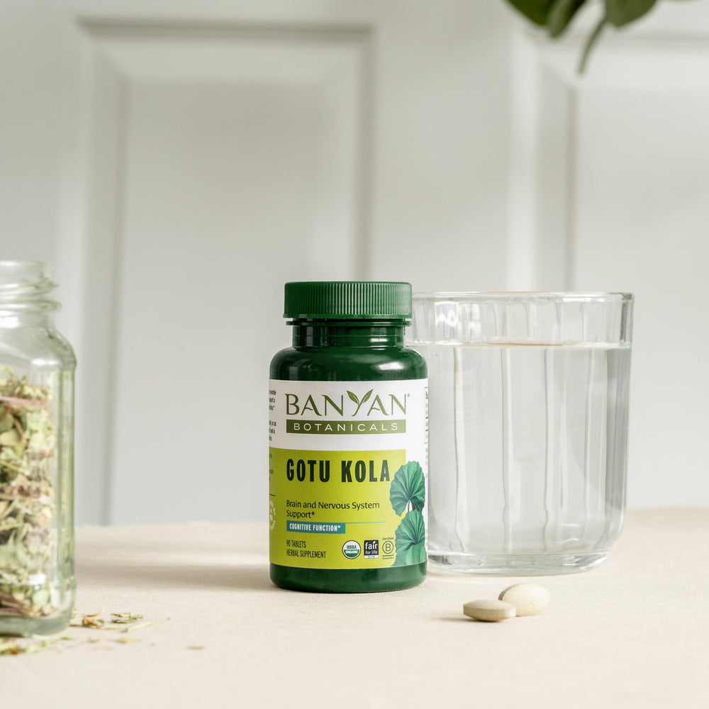 Brain support illustration for Gotu Kola supplement
