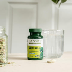 Brain support illustration for Gotu Kola supplement