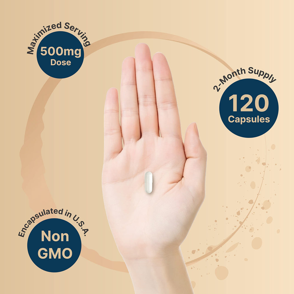 Brain health graphic highlighting cognition memory and focus