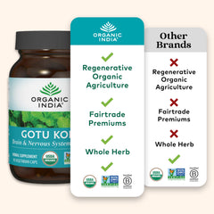 Brain support and calming properties graphic for Gotu Kola